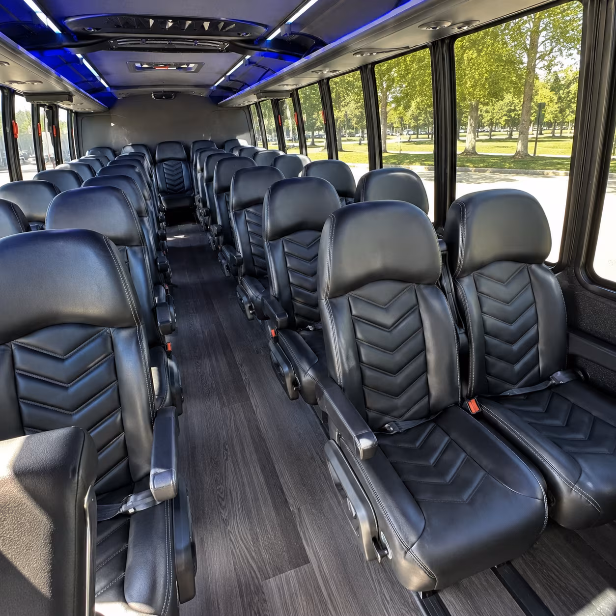 newton charter buses for newton students and chaperones
